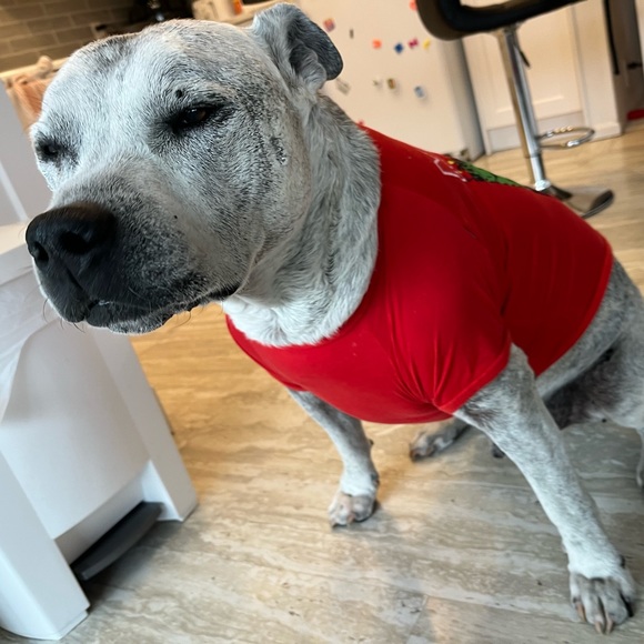 Dogs marvel tshirt - Picture 8 of 10